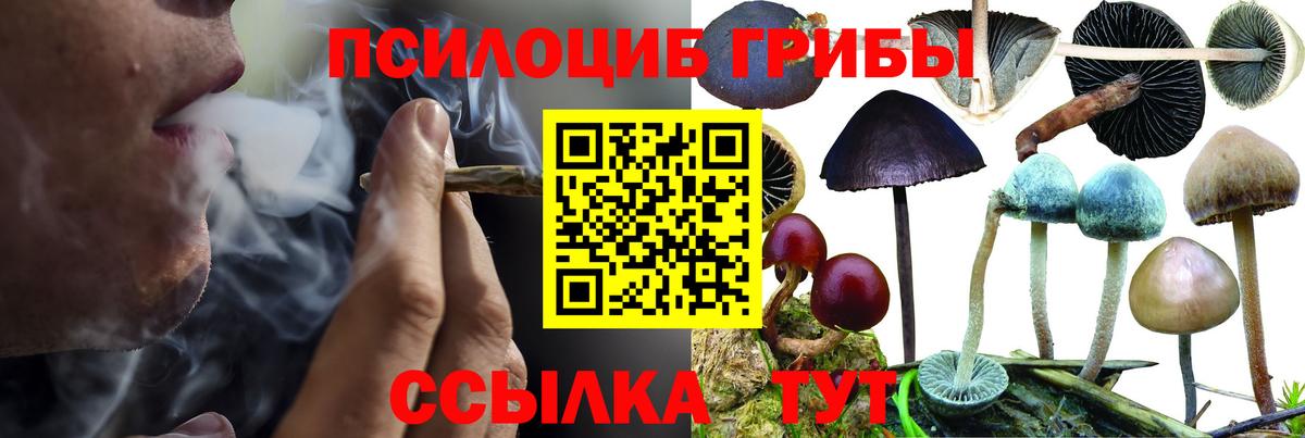 Бошки Шишки Верхний Уфалей